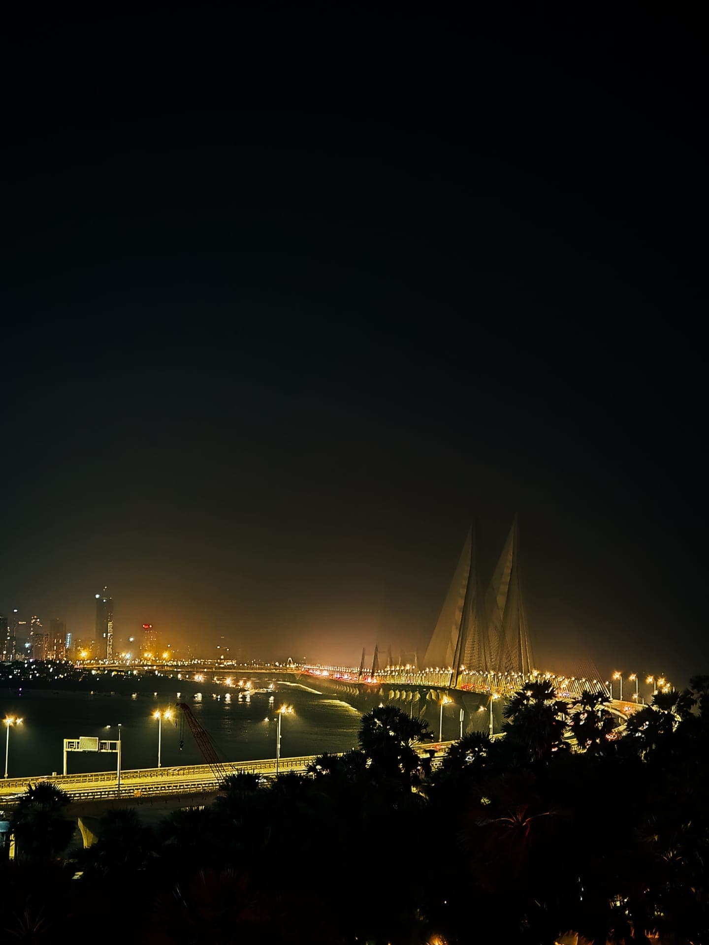 Sea Link from the venue