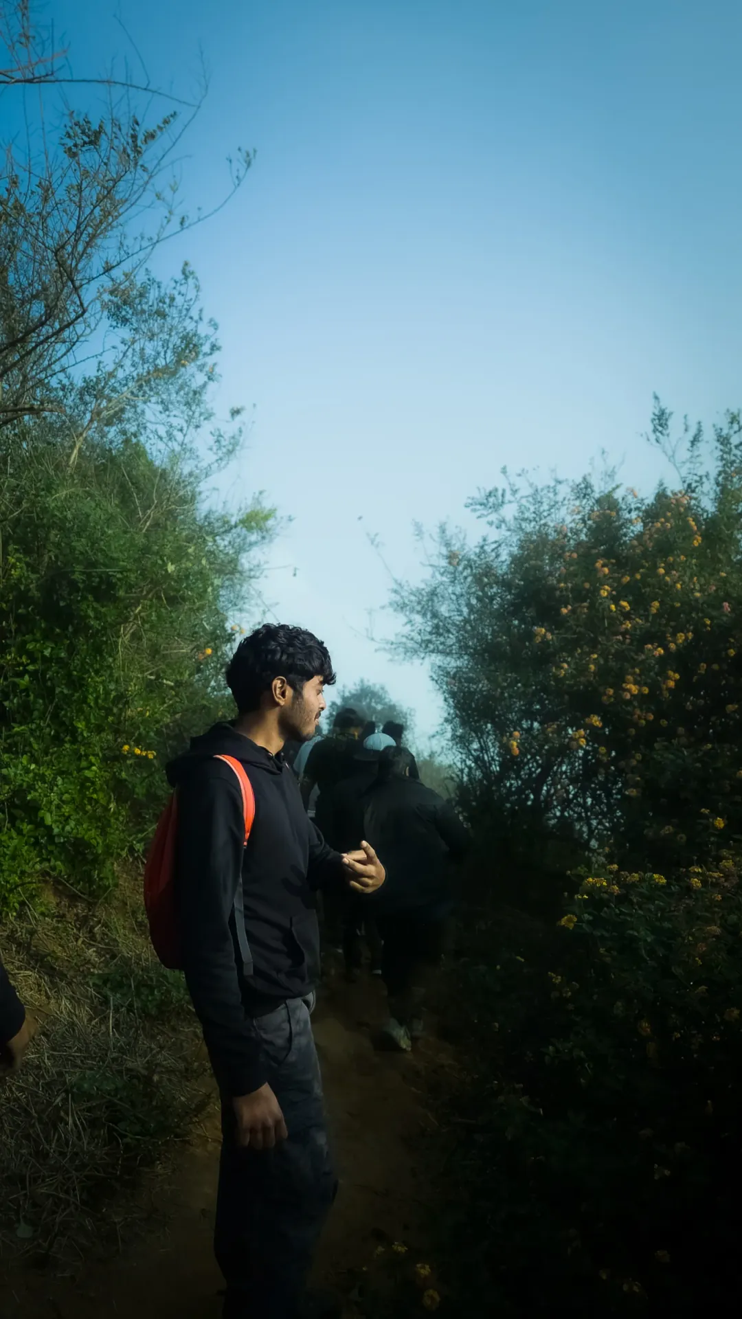Descent trail in early light