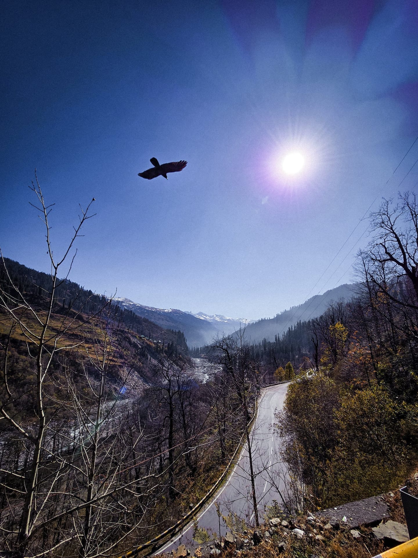 Manali
