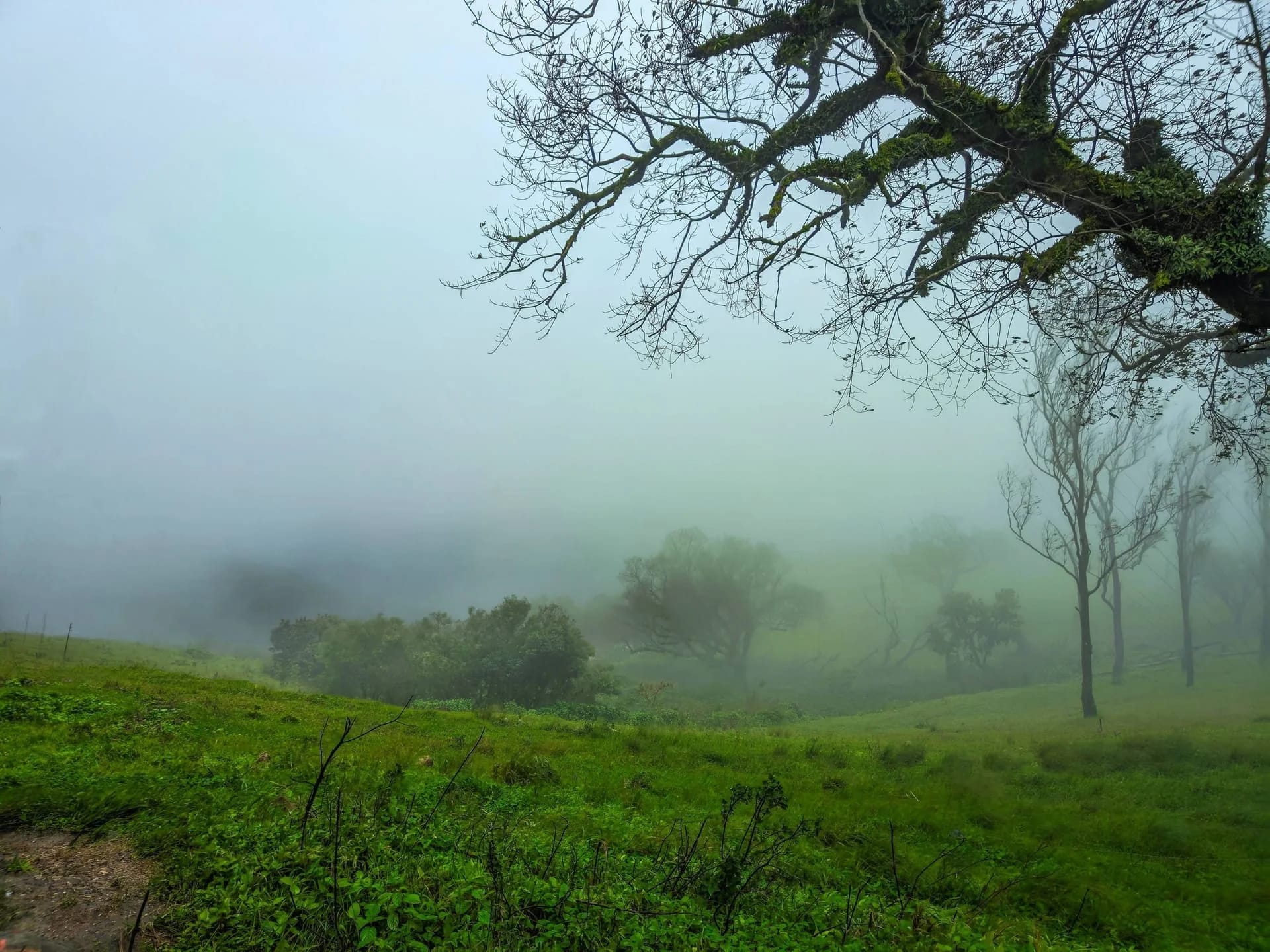 Ooty