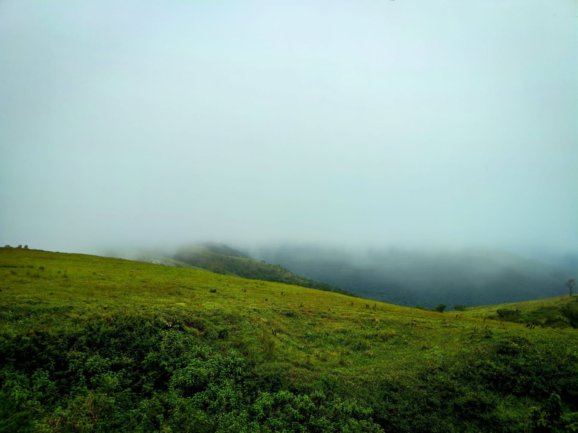 Ooty