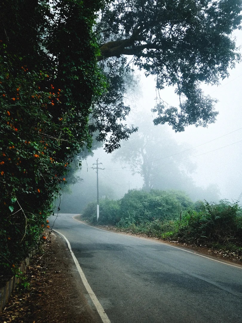 Chikkamagaluru